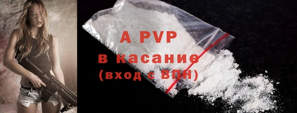 мескалин Богданович