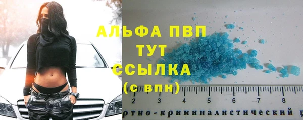 гашик Козельск