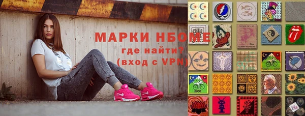 гашик Козельск
