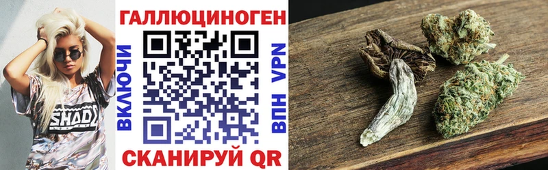 купить   Биробиджан  Галлюциногенные грибы мицелий 